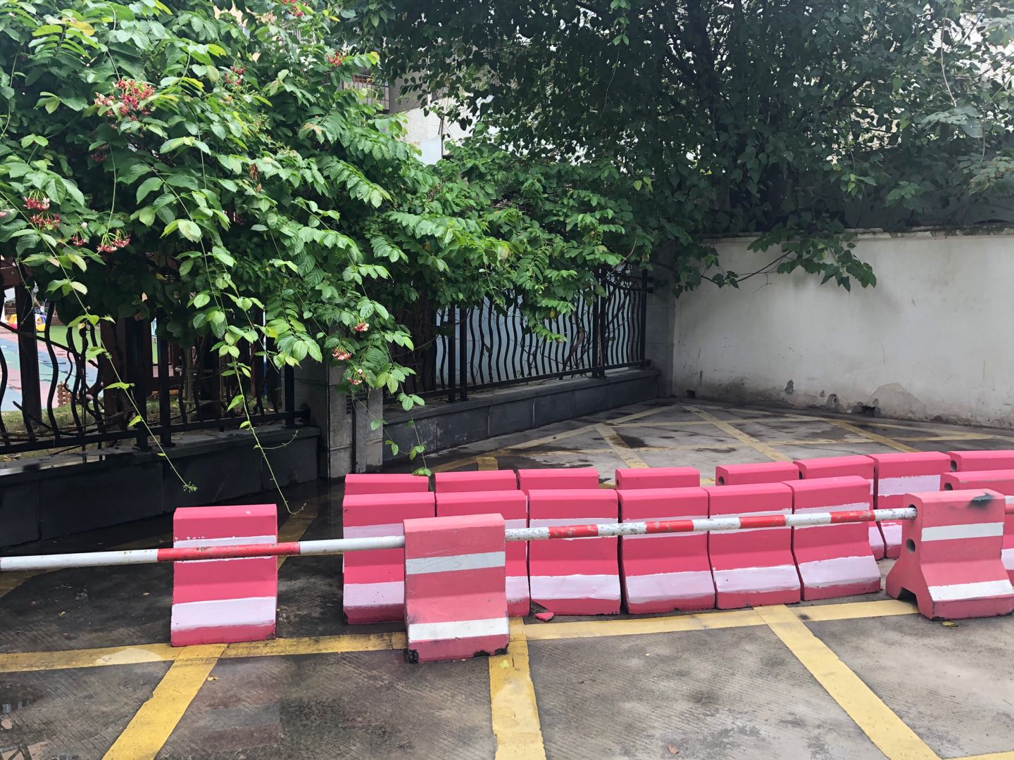 1600764398871221.jpg 1600764398871221.jpg