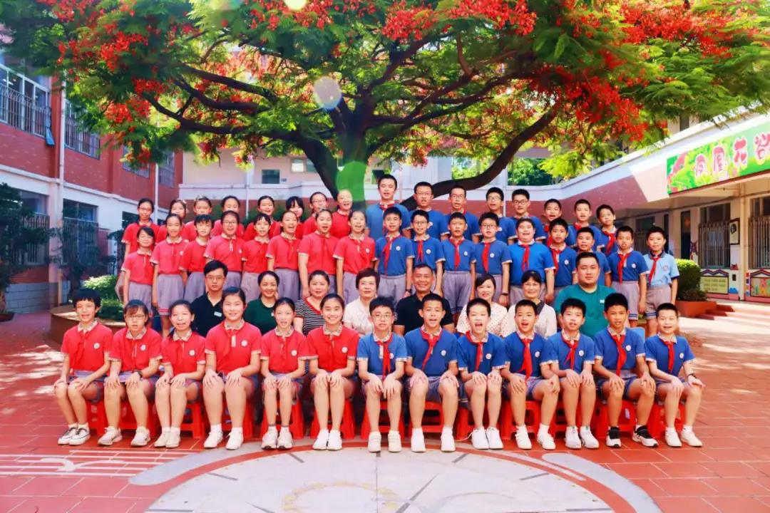 1593861601101159.jpg 55.jpg