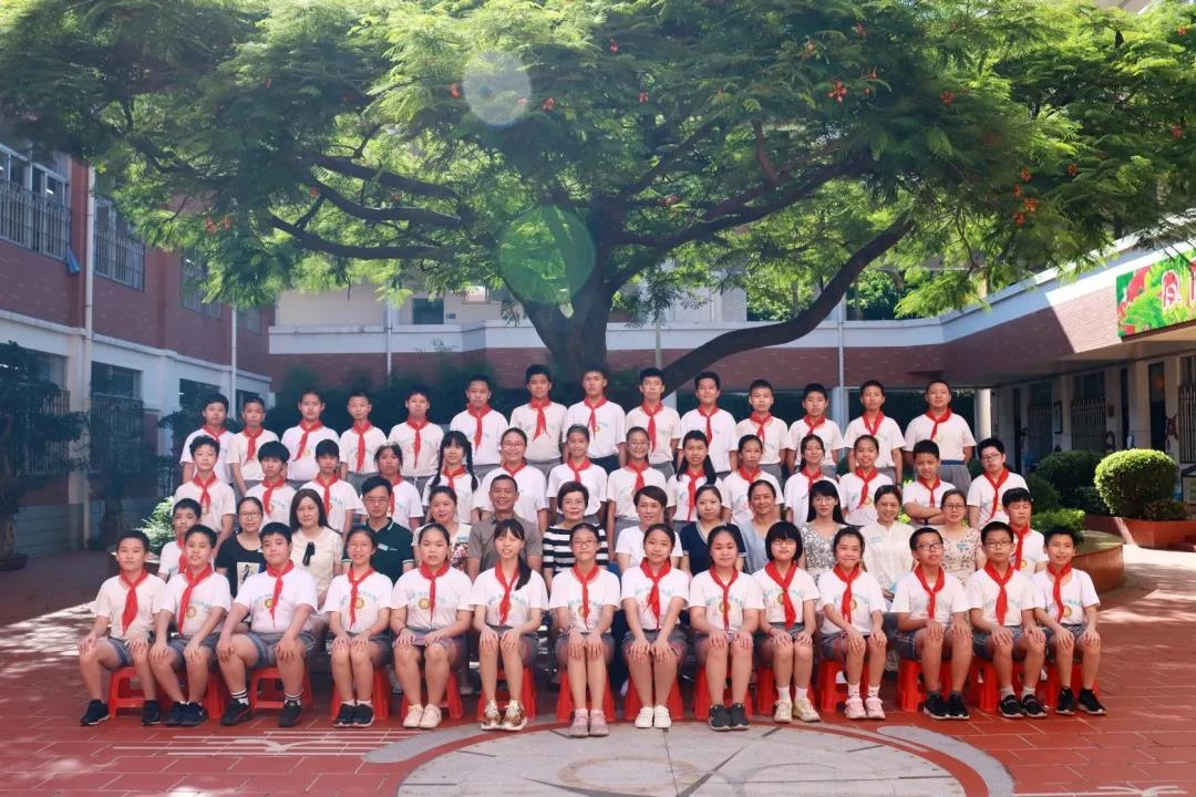 1593861582292917.jpg 44.jpg