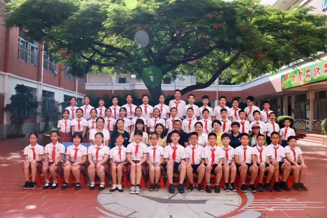 1593861554661828.jpg 33.jpg