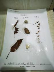 C:/Users/ccres/AppData/Local/Temp/picturecompress_20210929215844/output_1.jpgoutput_1