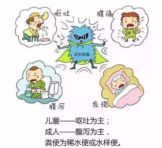 1611210885475802.jpg 3.jpg