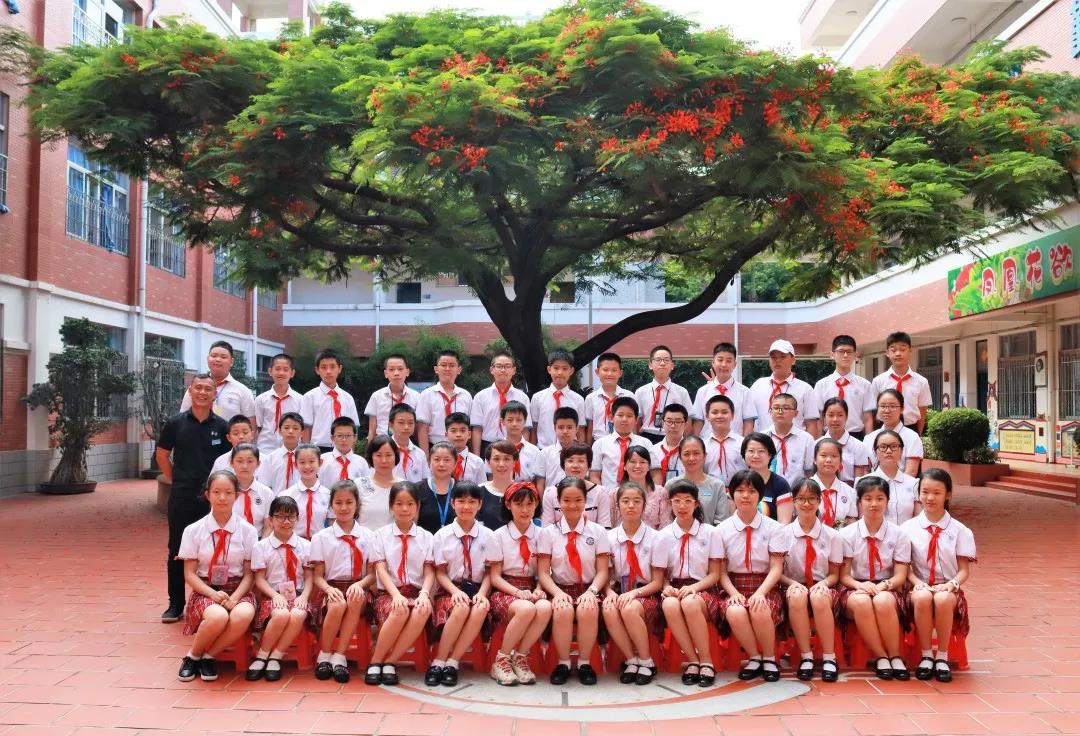 1593861527116745.jpg 22.jpg