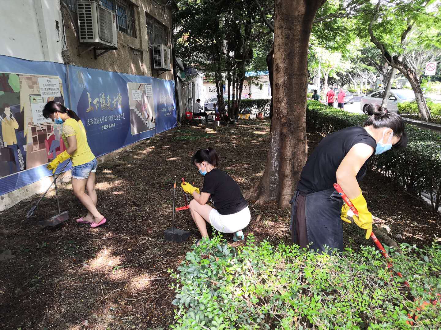 1600764186390728.jpg 1600764186390728.jpg