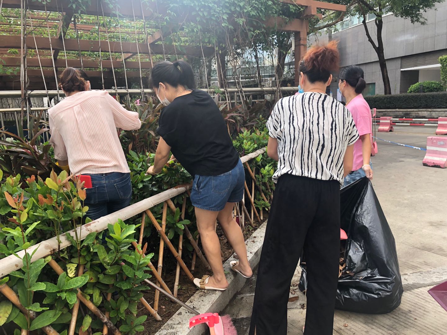 1600764305900224.jpg 1600764305900224.jpg